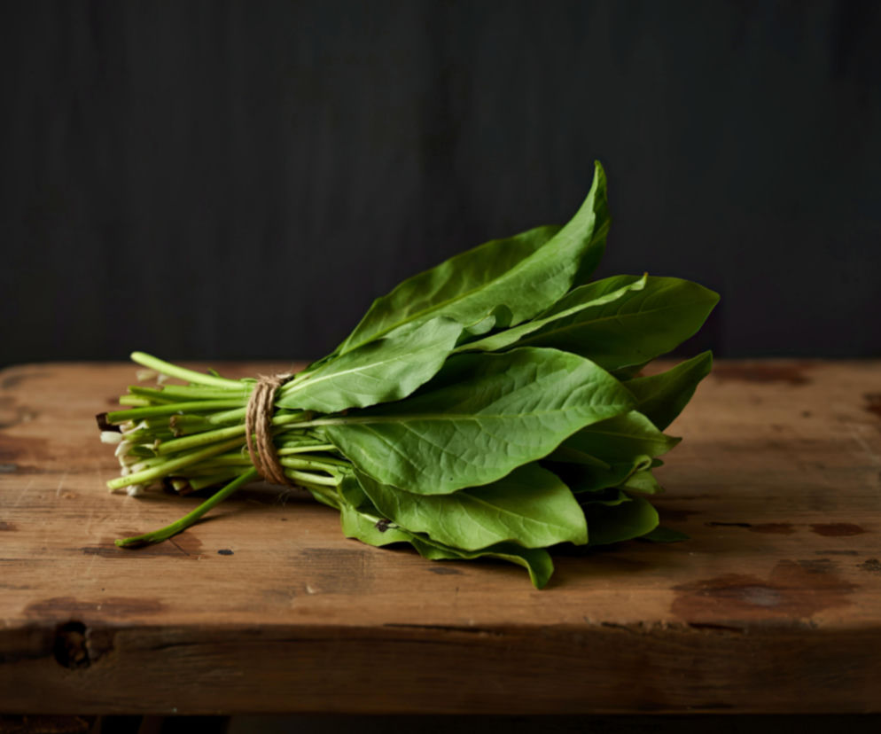 Rośnie pod nogami i kosztuje zero złotych. Ten „chwast” świetnie nadaje się pesto i wspiera odporność