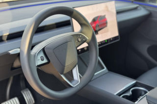 Model Y (Performance)