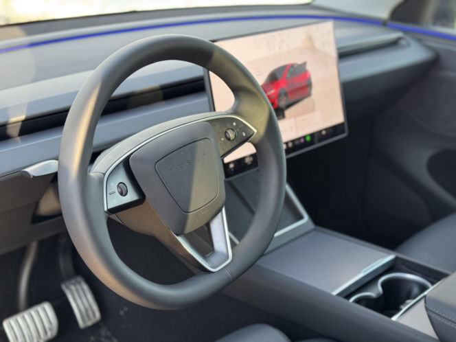 Model Y (Performance)