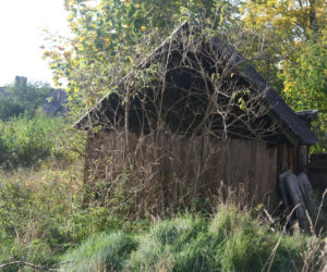 Mikołaj powiesił się w szopie