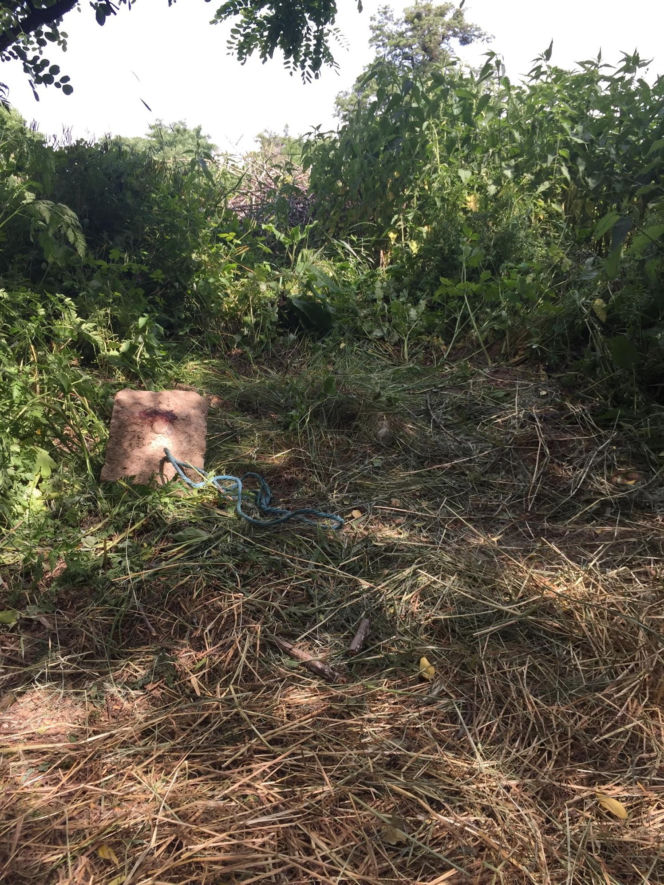 Ola przeżyła tortury zadawane przez 14-latka, bo udawała martwą. Horror w Łódzkiem