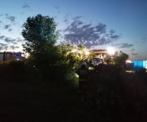 Pies wyskoczył wprost pod koła BMW. Matka z dziećmi zjechała do rowu [ZDJĘCIA]