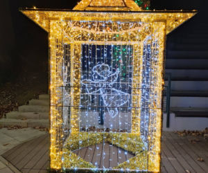 Tarnów. Świąteczna iluminacja już rozbłysła. Tak wygląda choinka na pl. Kazimierza