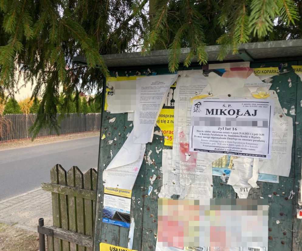 16-latek razem z kolegami wszedł na słup wysokiego napięcia. Został porażony i zginął