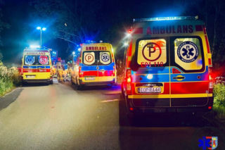 Nocna eskapada nastolatków zakończona na drzewie. Jednego z wraku wycinali strażacy!