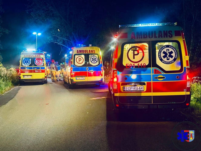 Nocna eskapada nastolatków zakończona na drzewie. Jednego z wraku wycinali strażacy!