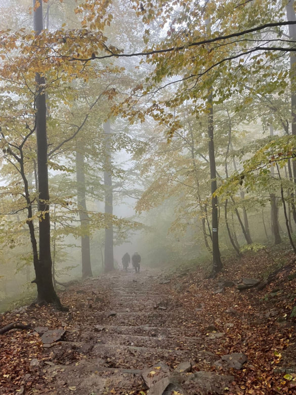 Mimo deszczu turyści odwiedzają Bieszczady