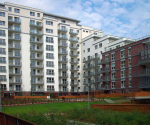 Dębowe Tarasy
