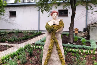 Mini ogród botaniczny w muzeum im. Jacka Malczewskiego jest już gotowy