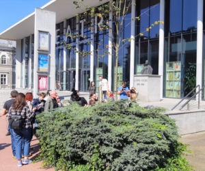Irena - nowe imię lipy przed teatrem