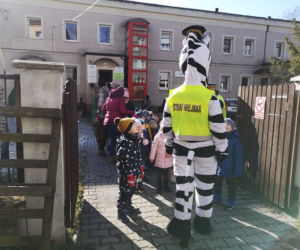 Zebra uczy dzieci przechodzić przez... zebrę