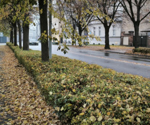 Leszno się wyludnia. Co czwarty mieszkaniec jest emerytem
