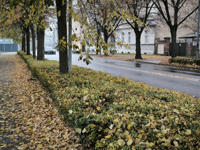 Leszno się wyludnia. Co czwarty mieszkaniec jest emerytem