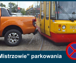 Mistrzowie Parkowania: Zobacz najbardziej kuriozalne pomysły kierowców