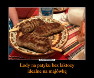 majówka 2021 - memy