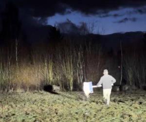 Friz z córką na straszeniu dzików