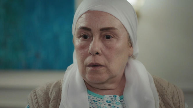 Dziedzictwo, odc. 884. Cennet