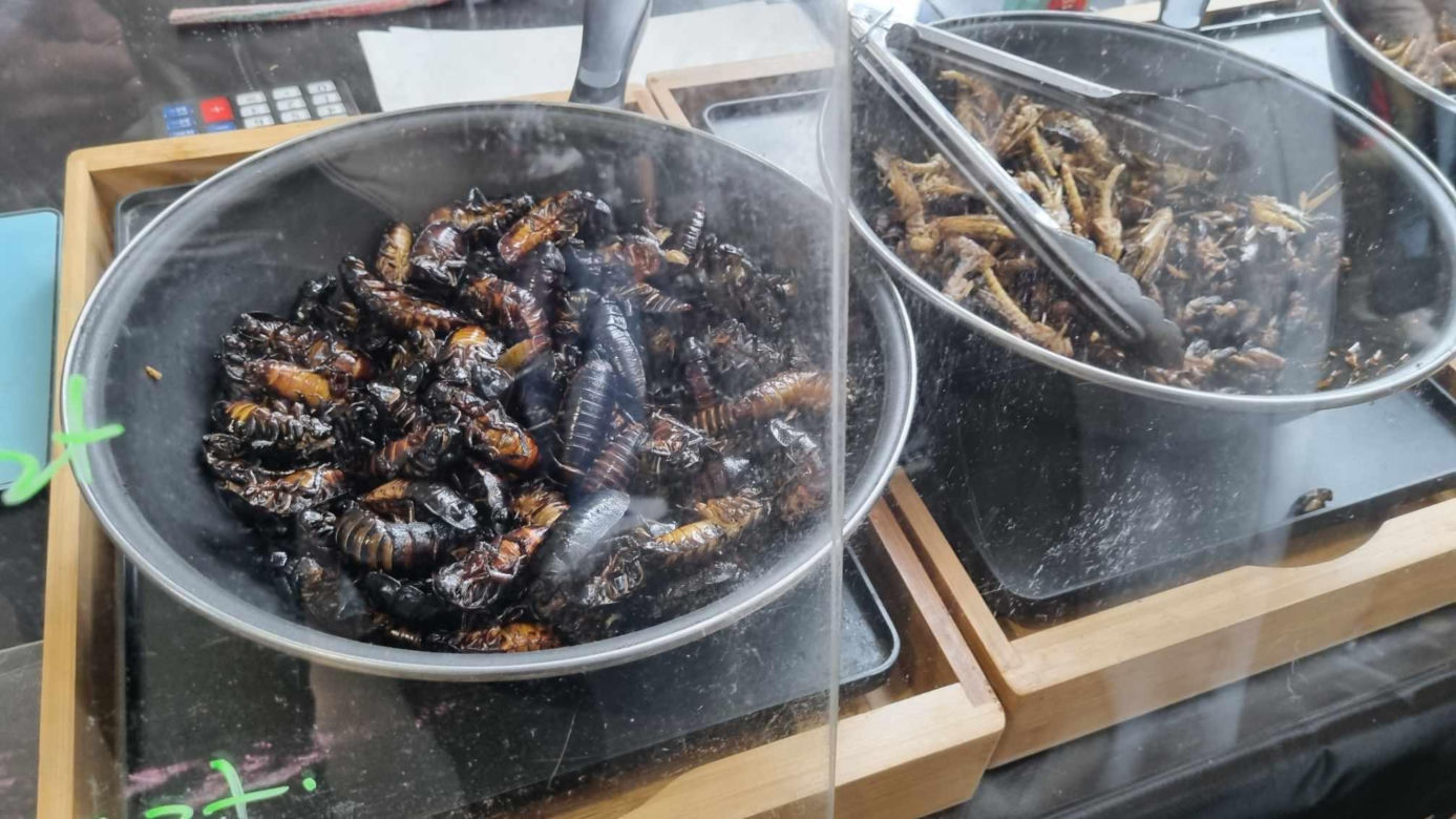 Targi Exotic Fest odbyły się w Poznaniu