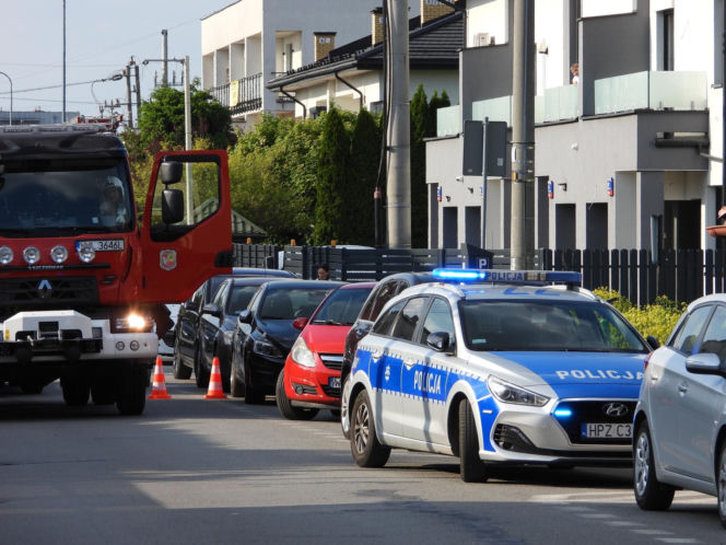2-latka utonęła na terenie żłobka