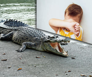 Trzylatek wrzucony na wybieg dla krokodyli! Horror w zoo