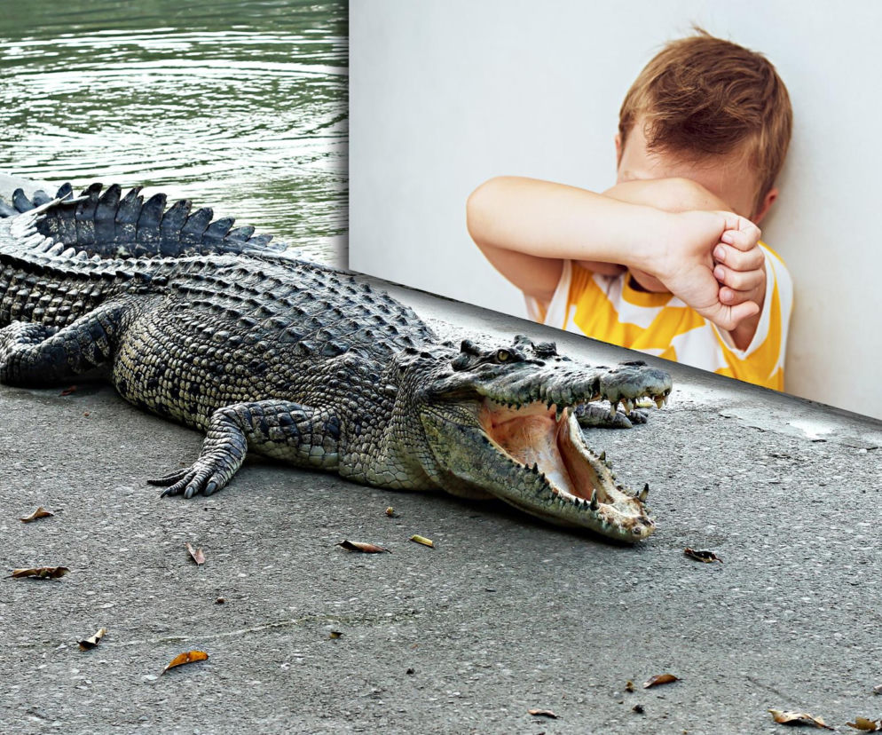 Duży krokodyl z otwartą paszczą nad wodą. Obok wstawka z zasłaniającym twarz dzieckiem. O dramacie w zoo czytaj w Eska.