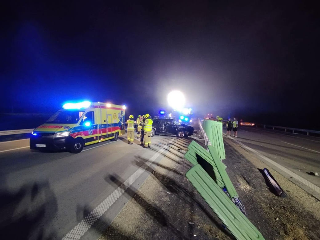 Zderzenia z łosiem na A2 w gminie Zbuczyn