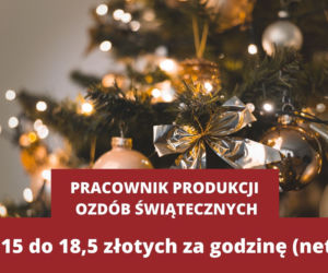 Świąteczne zawody 2021. Ile może zarobić Mikołaj, Śnieżynka i sprzedawca karpi? [STAWKI ZA GODZINĘ]