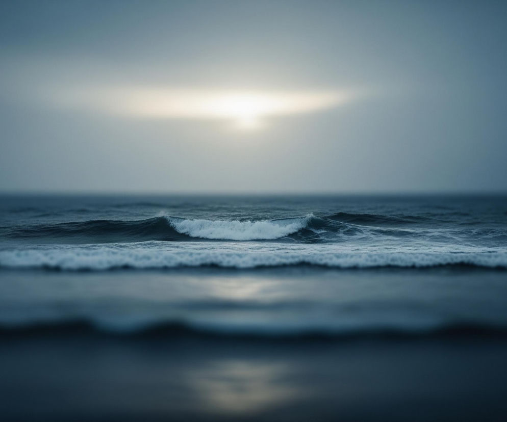 Głównym elementem jest morski pejzaż, utrzymany w chłodnej tonacji granatu i błękitu. Na pierwszym planie widoczne są pofalowane ciemne wody, rozmyte i lekko odbijające światło. Dalej, w centralnej części, spiętrza się fala z białym grzbietem piany, za nią następują kolejne, mniej wyraźne fale. Horyzont jest niewyraźny, a nad nim rozciąga się zachmurzone niebo, z jaśniejszym, eliptycznym obszarem w centralnej części, sugerującym słońce przebijające się przez chmury.