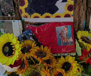 Drzewo pamięci Michaela Jacksona w Budapeszcie