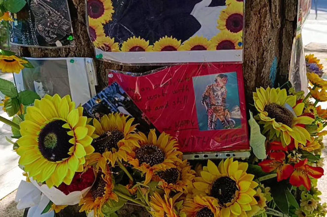 Drzewo pamięci Michaela Jacksona w Budapeszcie