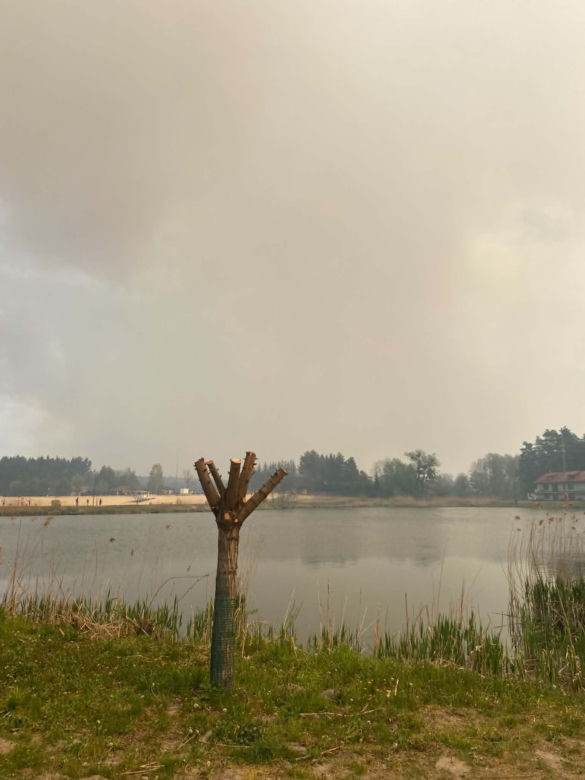Pożar w woj. lubelskim
