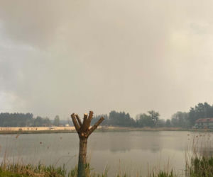 Pożar w woj. lubelskim