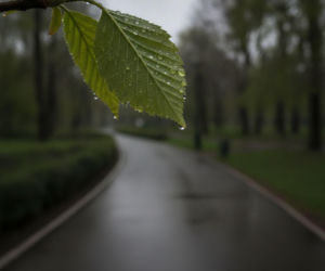 Weekend w Bydgoszczy z wyraźną zmianą. Niedziela może rozczarować