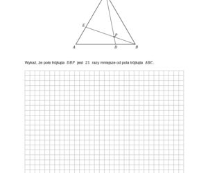 Matura 2021: Matematyka rozszerzona. Odpowiedzi i arkusze sprawdzisz tutaj [CKE ODPOWIEDZI PYTANIA MATEMATYKA ROZSZERZONA]