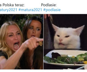 Matura 2021. Przecieki z Podlasia. Zobacz najlepsze memy [GALERIA]
