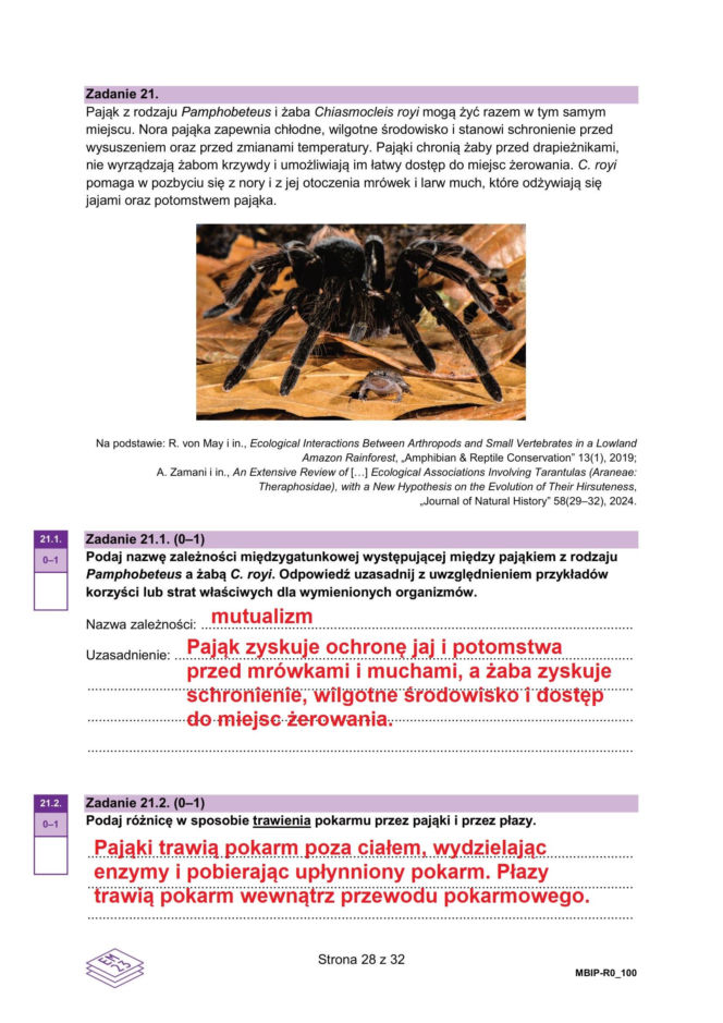 Matura 2026 biologia ROZSZERZONA: Arkusze CKE i odpowiedzi - sprawdź, czy zdałeś! 8.05.2026