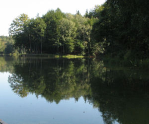 Balaton - Wodzisław Śląski