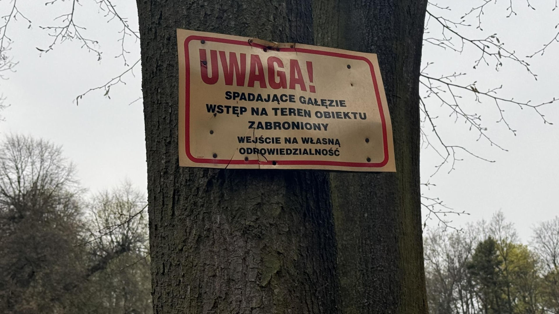 Pałac w Pilicy, wspaniała rezydencja która od dekad popada w ruinę