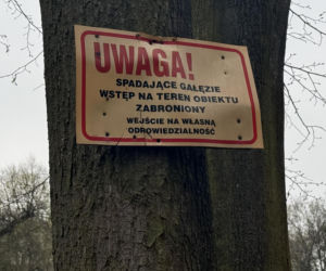 Pałac w Pilicy, wspaniała rezydencja która od dekad popada w ruinę