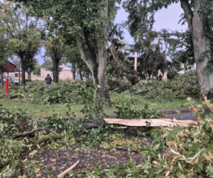 Potężna wichura w Wielkopolsce! Zerwane dachy, powalone drzewa i ogromne zniszczenia