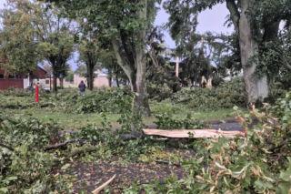 Potężna wichura w Wielkopolsce! Zerwane dachy, powalone drzewa i ogromne zniszczenia