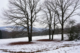Ferie zimowe 2026 na Śląsku. Czy uczniowie doczekają się śniegu?