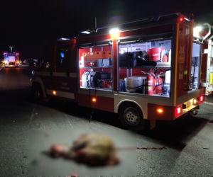 Wypadek na A4 pod Oławą