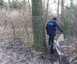 Wiktorek wpadł z mamą do stawu