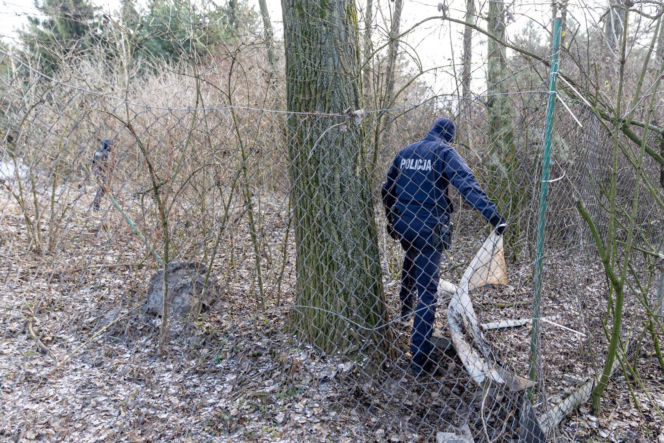 Wiktorek wpadł z mamą do stawu