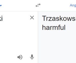 Wybory 2020. Tłumacz Google mówi o Dudzie i Trzaskowskim: Duda is ok; Trzaskowski is...