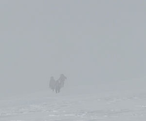 Siedlczanin Kryspin Mitura ukończył Koronę Ziemi oraz Koronę Wulkanów Ziemi w rozszerzonym wariancie „Double Seven Summits”!