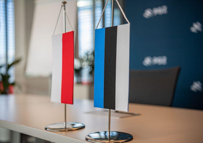 Odpowiedź na pilne potrzeby obronne. PGZ i Frankenburg Technologies nawiązują współpracę