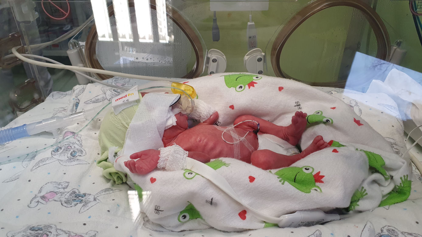 Pięcioraczki z Poznania