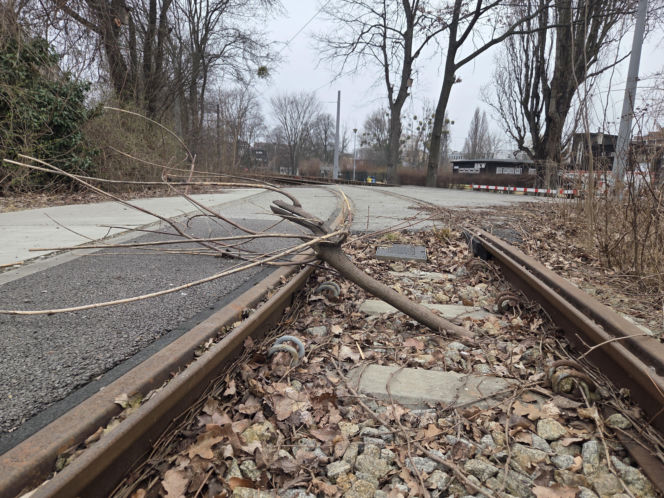 8 lat bez tramwajów na Babiej Wsi. Torowisko w ruinie!